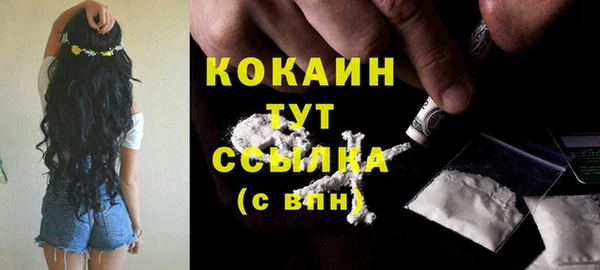 винт Елизово