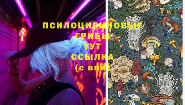 амф Елабуга