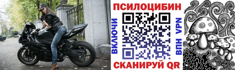 Купить закладки  Елабуга  Псилоцибиновые грибы Magic Shrooms 